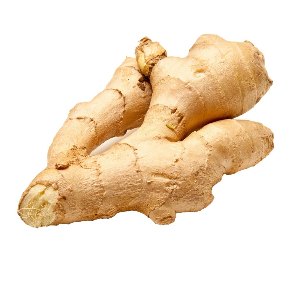 Ginger Root